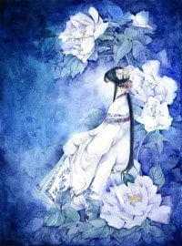 清穿之四爺皇妃