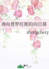 奔向普罗旺斯的向日葵